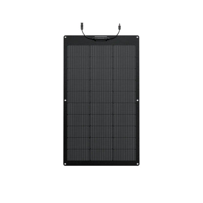 EcoFlow 100W Flexible Solar Panel