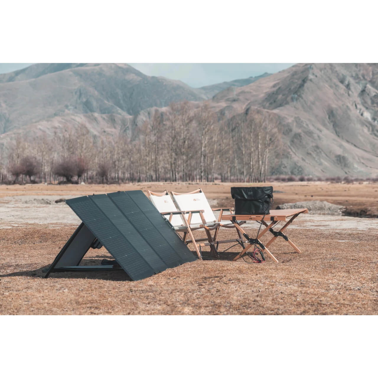 EcoFlow 220W Bifacial Portable Solar Panel
